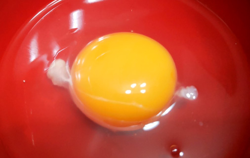 生卵の白い塊カラザ