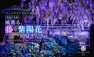 アートアクアリウム美術館GINZAの所要時間・滞在時間は？クーポンと口コミも調査！