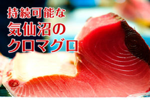 気仙沼のクロマグロ　臼福本店が持続可能なMSC海のエコラベル認証を取得