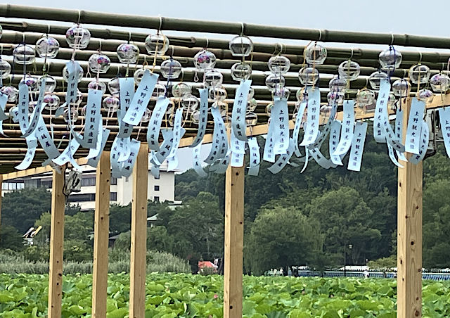 りんりん回廊（風鈴回廊）