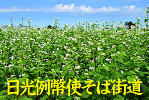 日光例幣使そば街道とは？ 日光の夏そば＆頂鱒（イタダキマス）