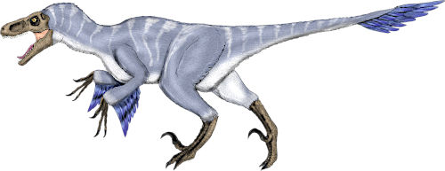 アトロキラプトル