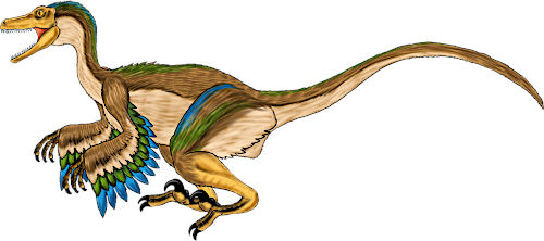 ヴェロキラプトル