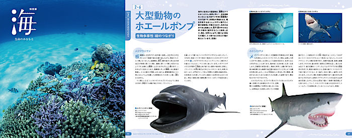 海展「海 ―生命のみなもと」公式図録