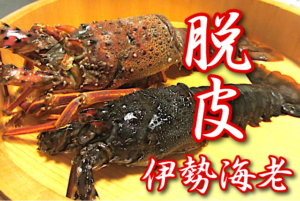 脱皮伊勢海老の衝撃！ 千葉「道の駅」で伊勢海老弁当が800円の衝撃？