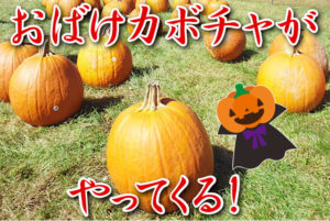 夢熱ハロウィン・パーティー開催！チケット料金とアクセス方法