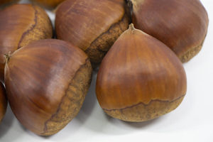 小布施栗の特徴・品種と茹で方。時期と直売所、通販も調査