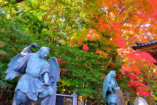 高尾山もみじまつり