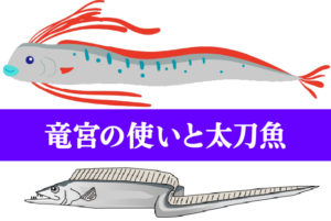 リュウグウノツカイの名前の由来は？タチウオとの違いも調査