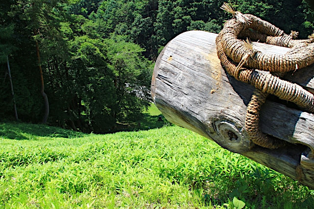御柱祭（長野県諏訪市）