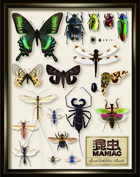 特別展「昆虫 MANIAC」公式図録